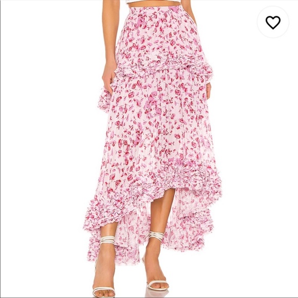 NWT Amur Nita Floral Skirt - Picture 3 of 6